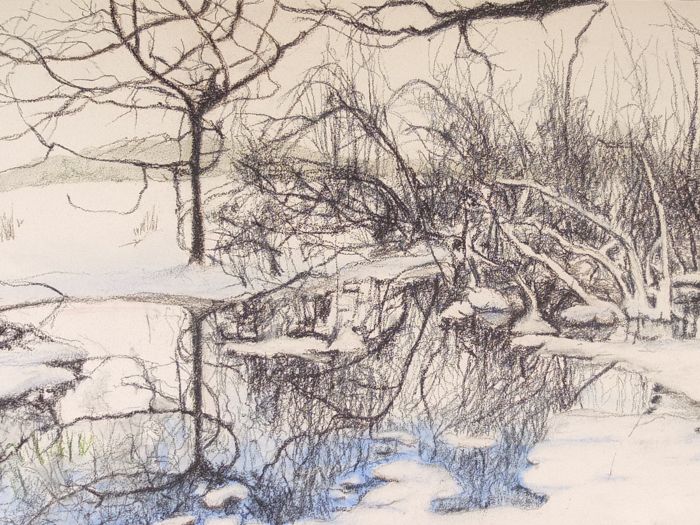 Langs het spechten pad / pastel