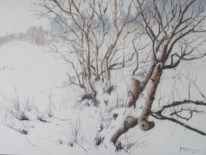 Berken in de sneeuw op Schiermonnikoog / Pastel